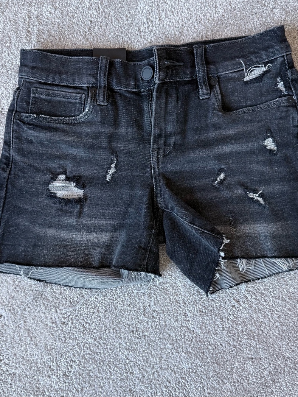 BLANKNYC The Fulton Distressed Black Denim Shorts Size 24